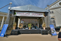 Vinobraní Kačina - foto J.Moravčík